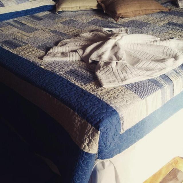 Varzea Palace Hotel Teresópolis Buitenkant foto