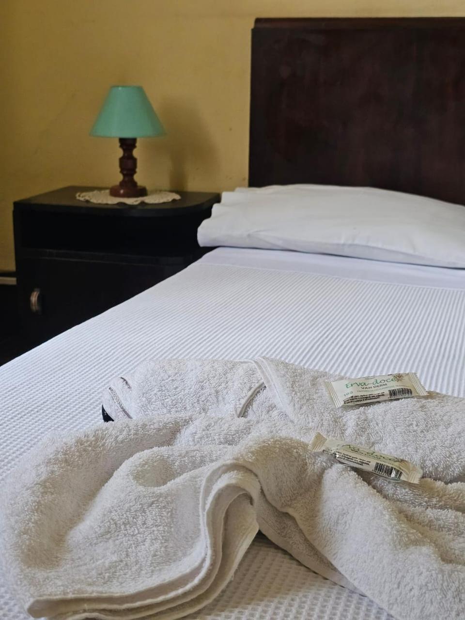 Varzea Palace Hotel Teresópolis Buitenkant foto